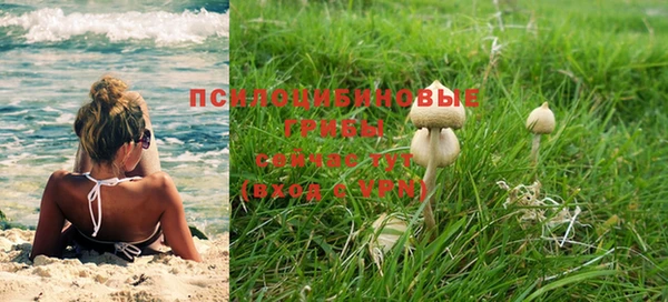 метадон Армянск