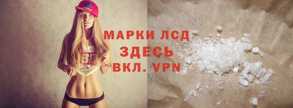 шишки Белокуриха