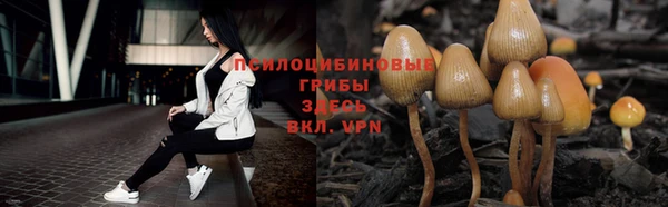 apvp Арсеньев