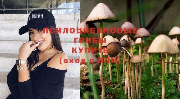 PSILOCYBIN Белоозёрский