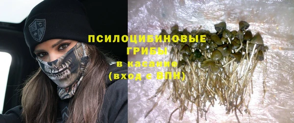 apvp Арсеньев