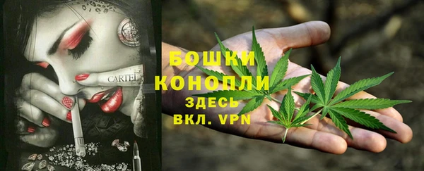 apvp Арсеньев