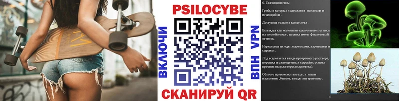 где найти   Новоуральск  Галлюциногенные грибы Cubensis 